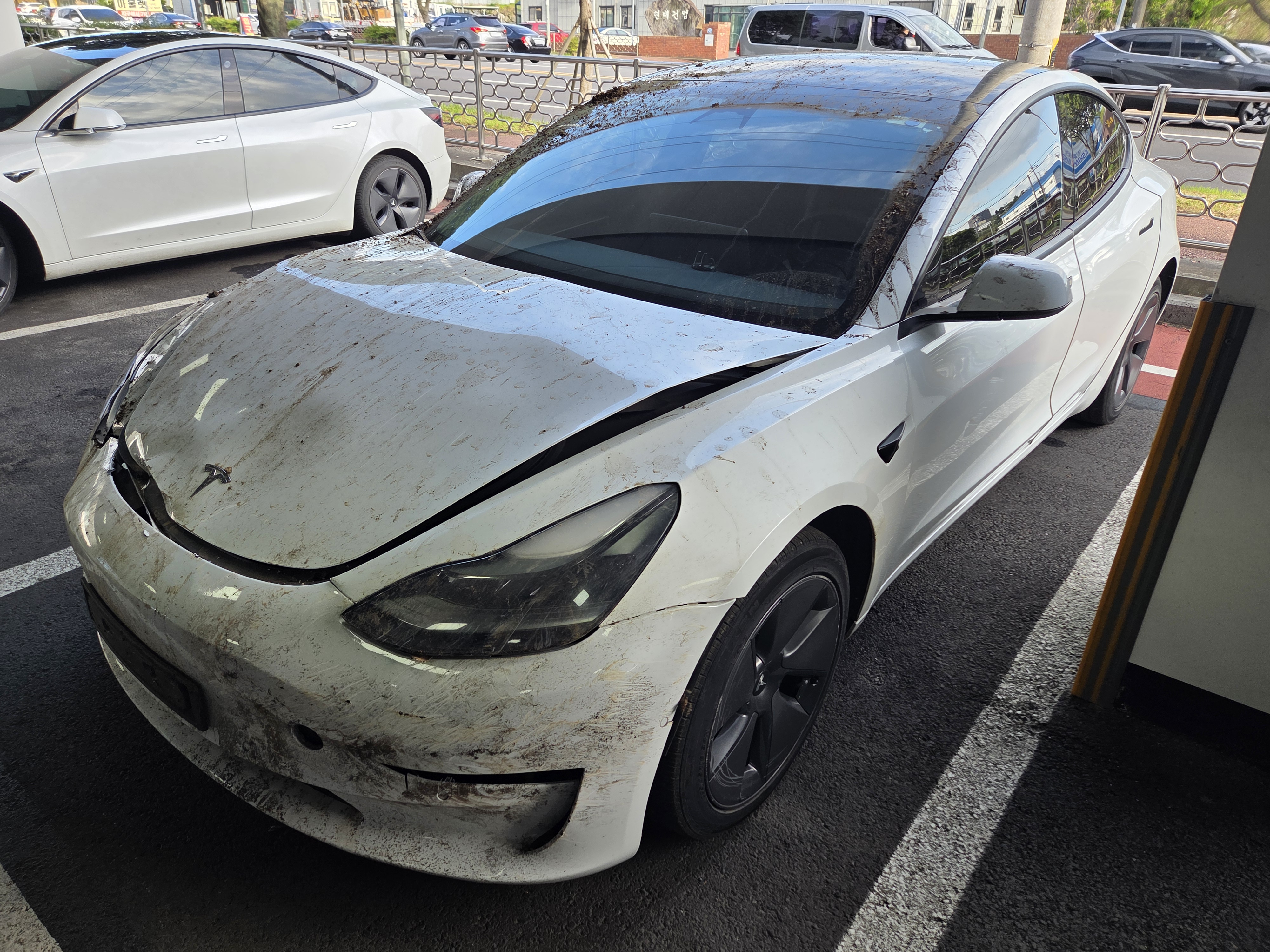 [Auction] 2022 Tesla Model 3 Long Range(312048) pre-producted