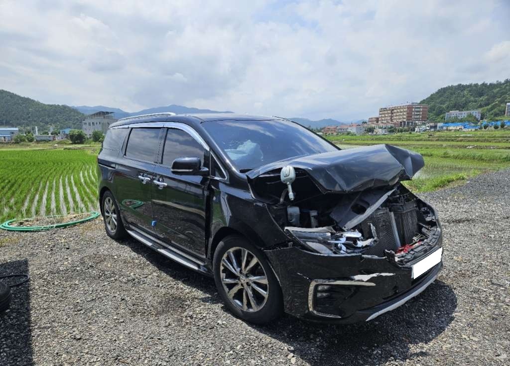 2019 The New Carnival Diesel Limousine VIP (446752) pre-producted