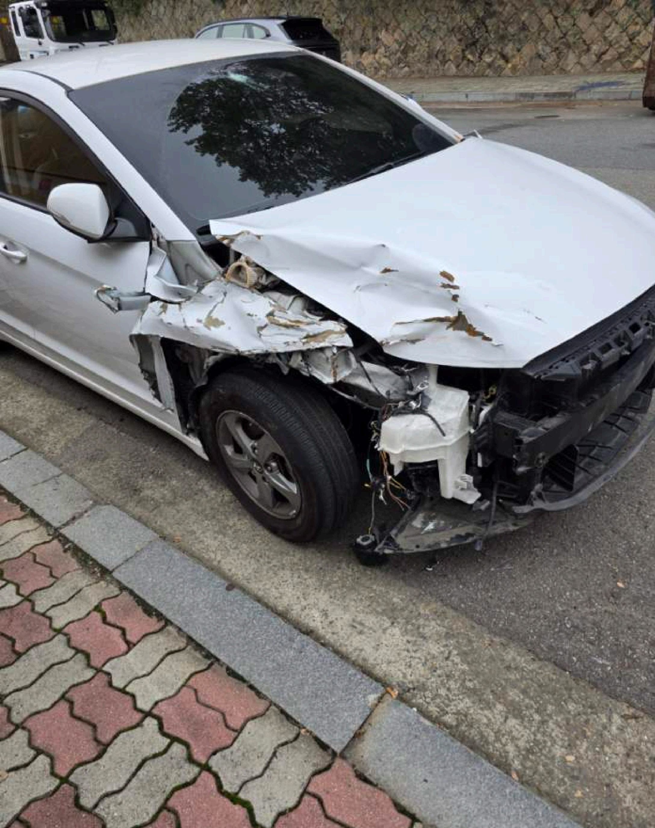 2018 Avante AD 1.6 LPI Style (rental car) (619581) pre-producted