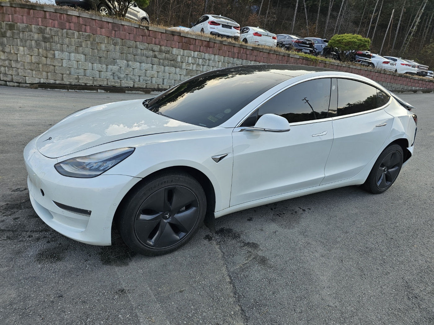 2020 Tesla Model 3 Long Range (S/N: 585665)