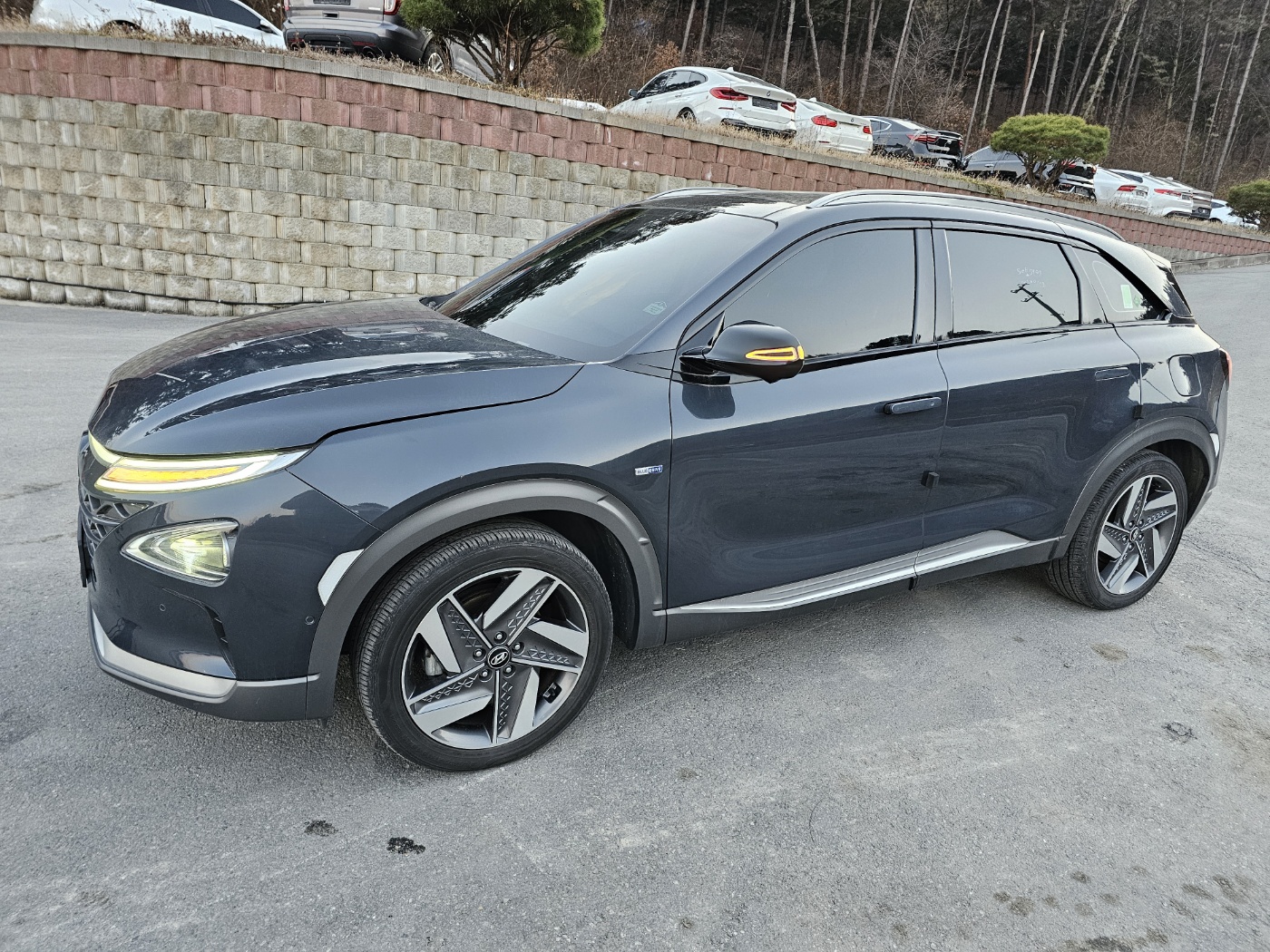2020 NEXO PREMIUM (S/N: 005582)