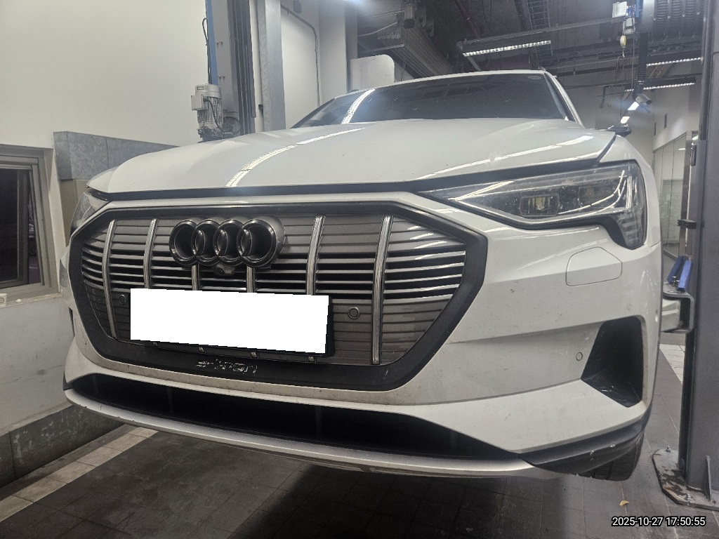 2020 Audi e-tron 55 quattro (029233) pre-producted