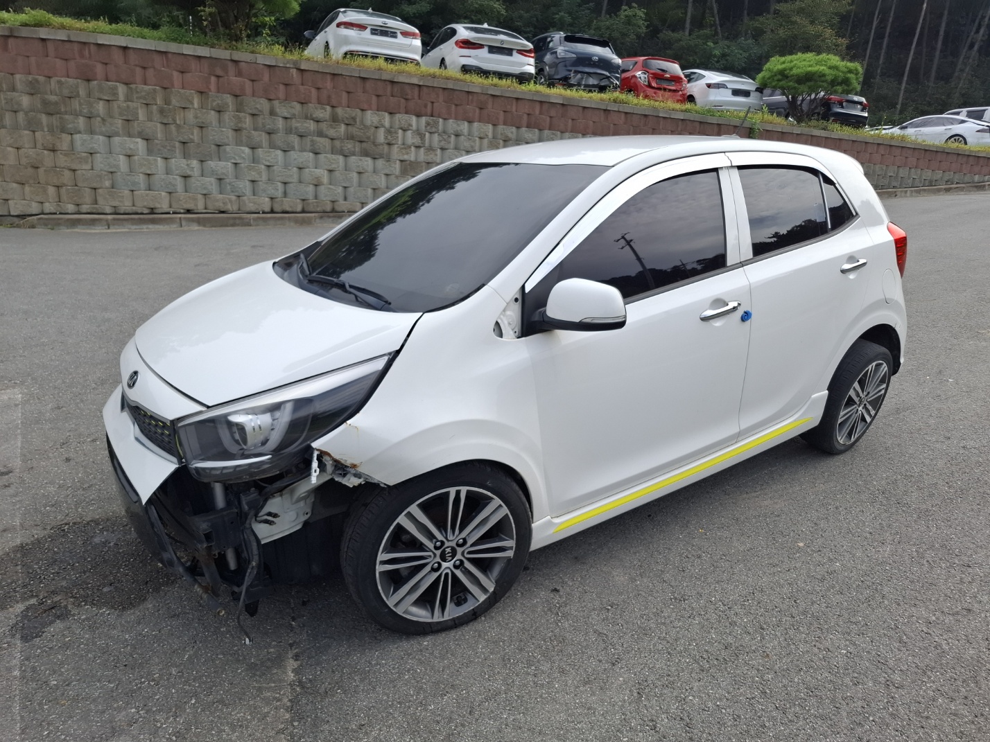 2017 All New Morning (JA) Prestige (S/N: 022865)