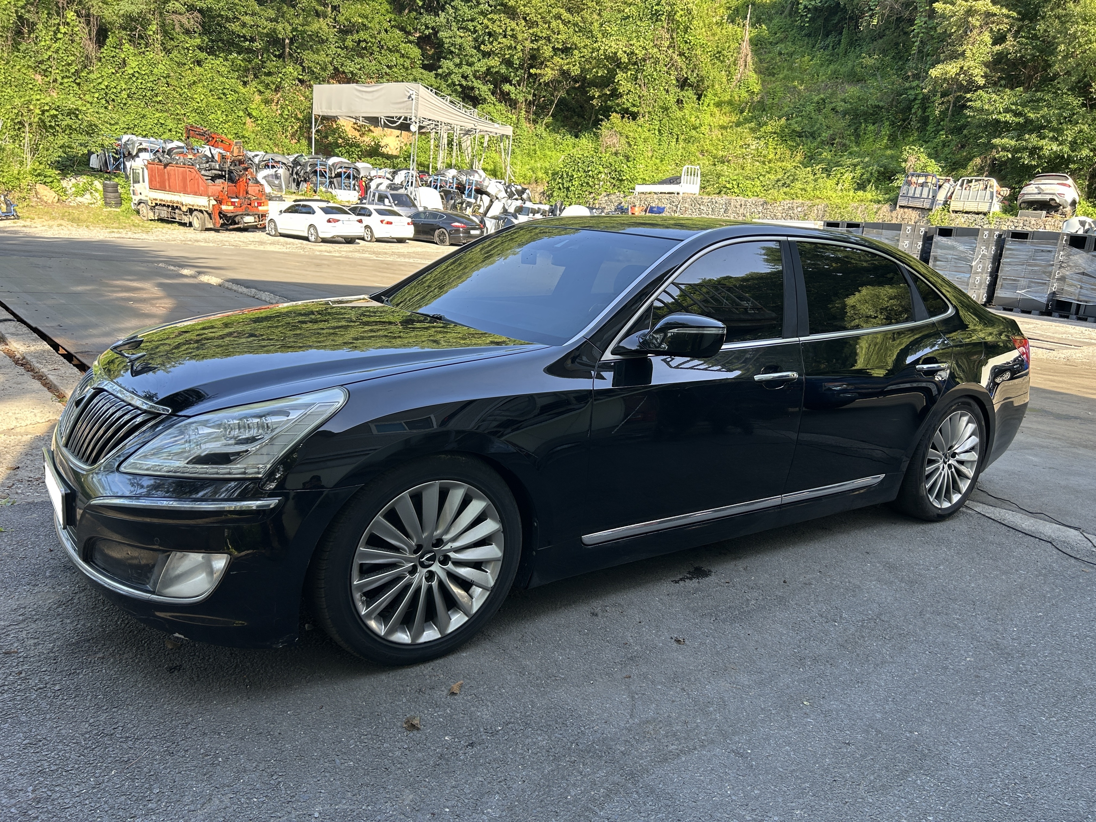 2015 Equus VS500 (S/N: 090613)