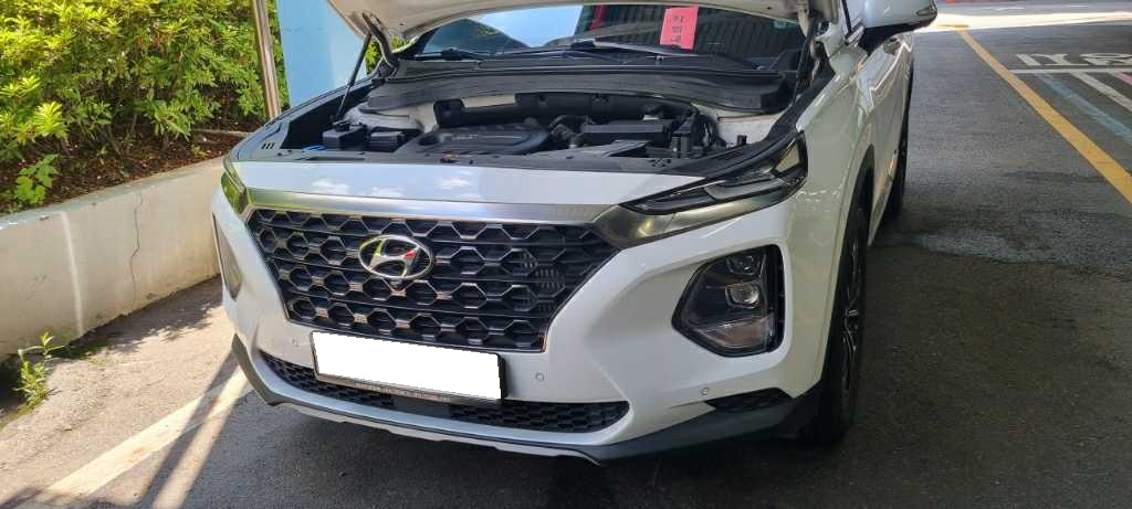 2019 Santa Fe TM Gasoline 2.0T 2WD Exclusive Special (021400) pre-producted