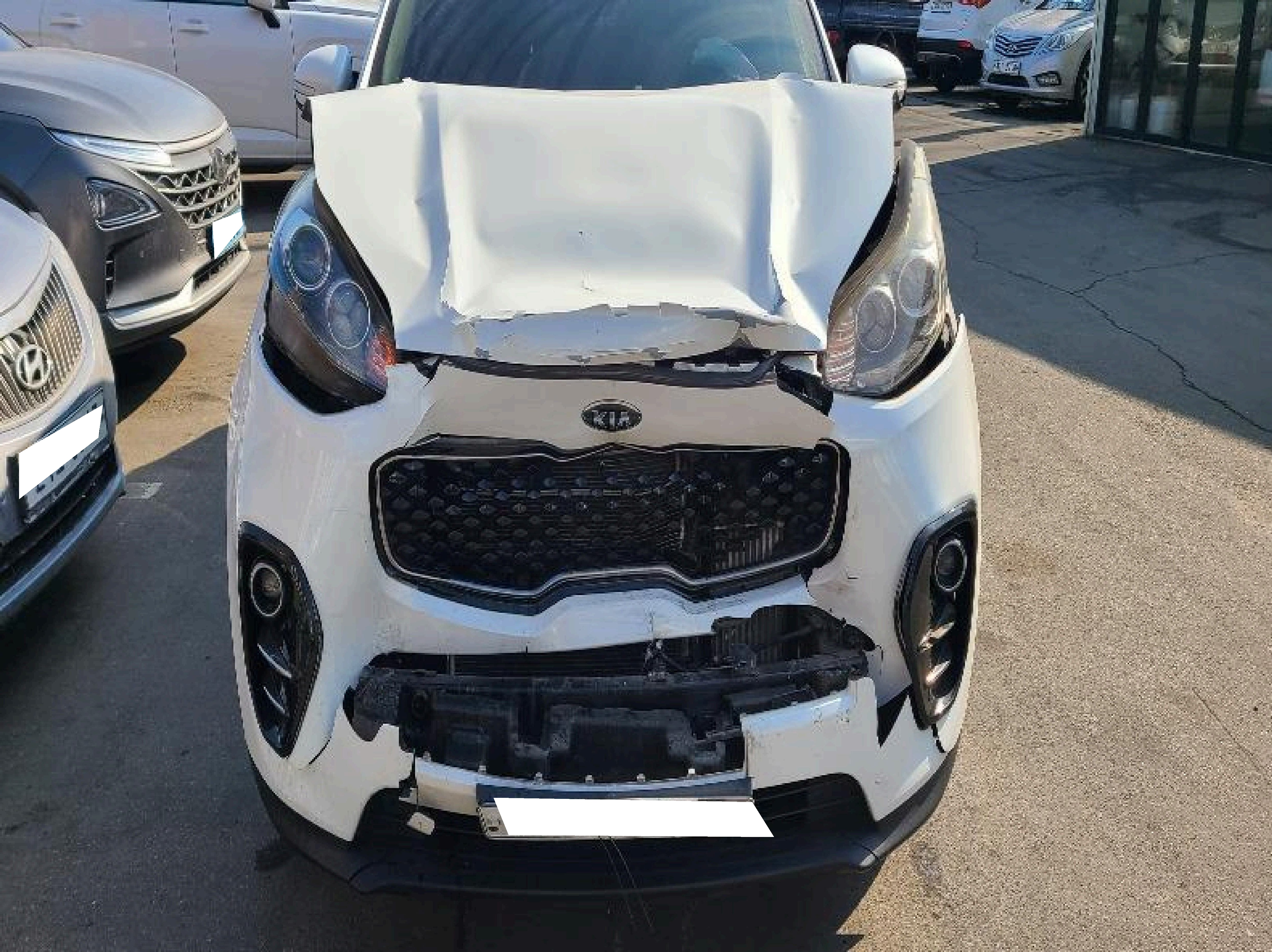 2016 Sportage 4th gen (QL) diesel 1.7 2WD Noblesse (012357) pre-producted