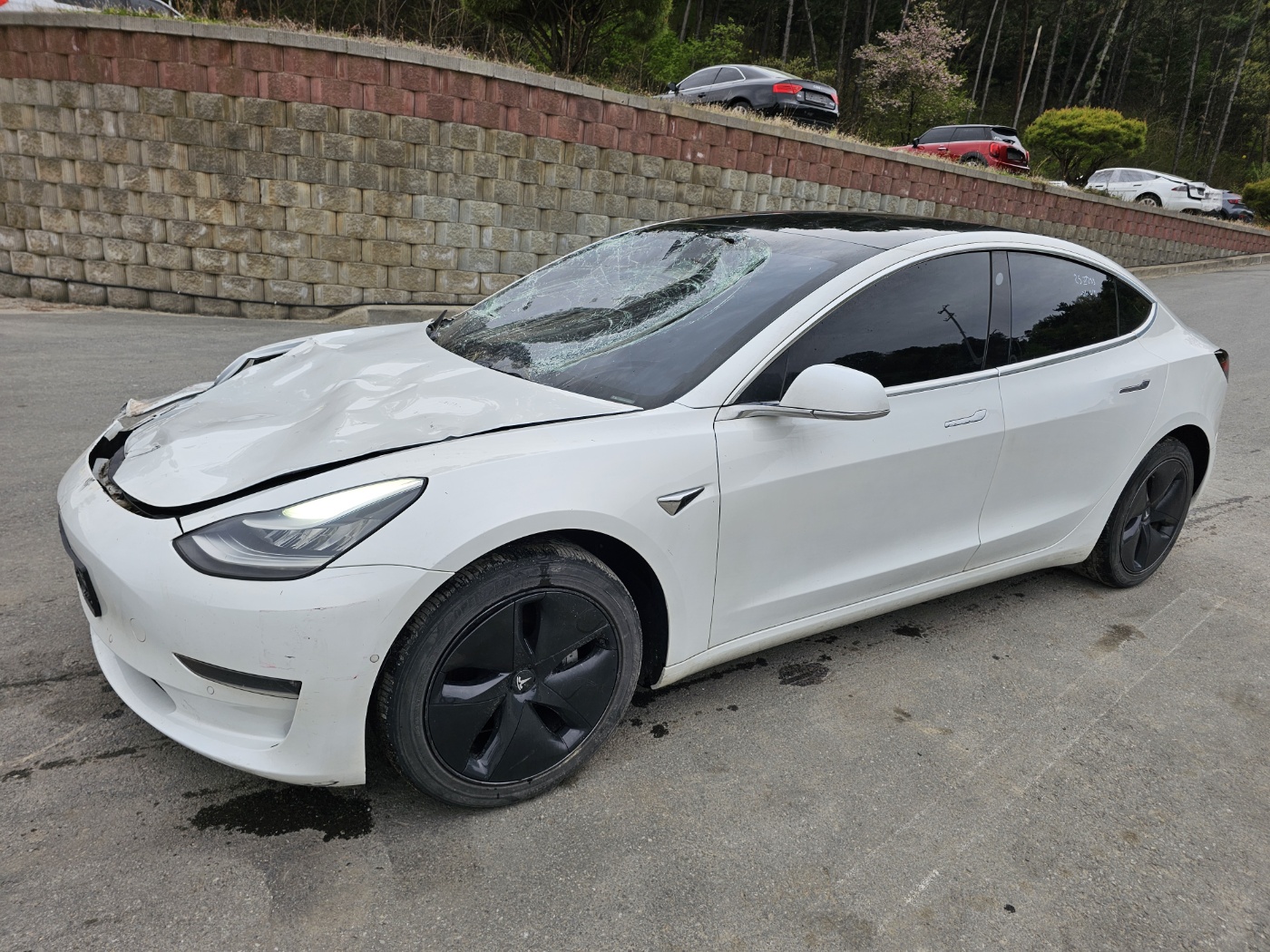 2020 Tesla Model 3 Standard Range Plus (S/N: 726516)
