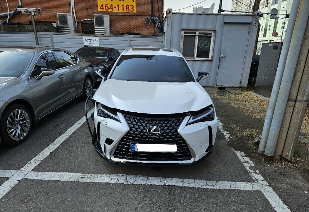 2025 Lexus UX 300h 2.0 (015434) pre-producted
