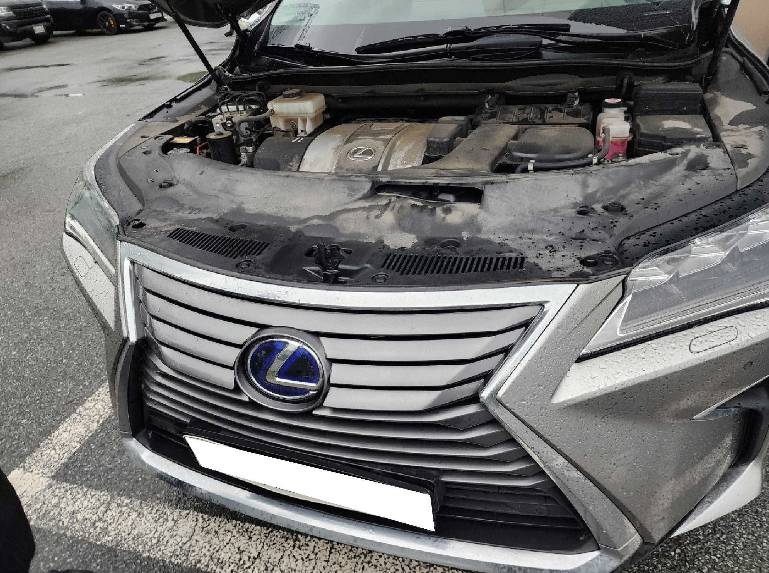 [SOLDOUT]2019 Lexus RX 450h (4th gen) Executive (049398) pre-producted