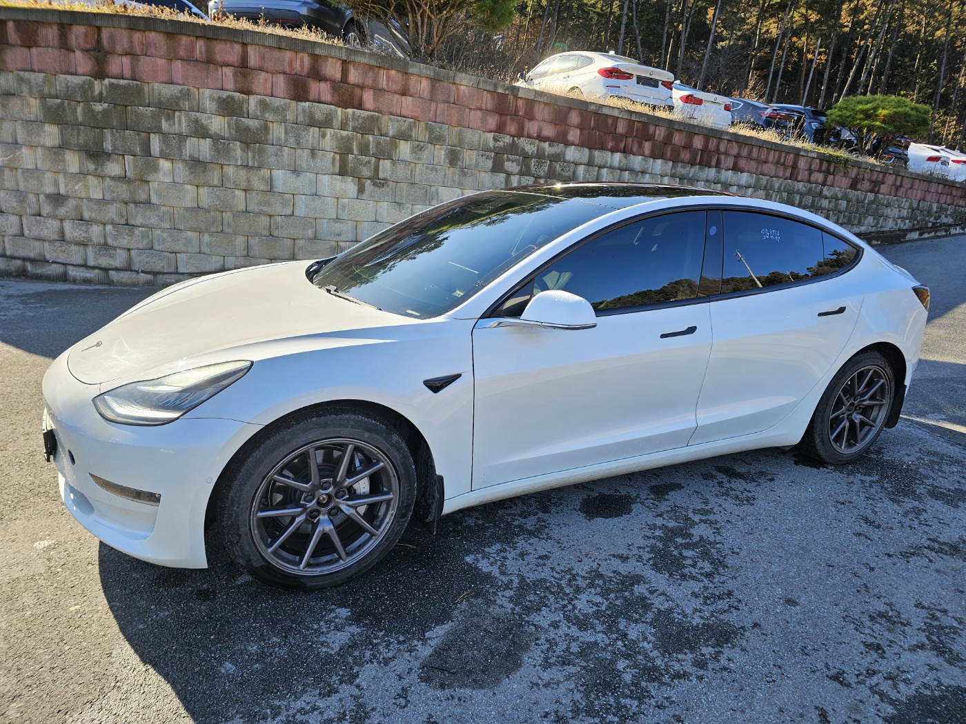 2020 Tesla Model 3 Long Range (S/N: 725557)