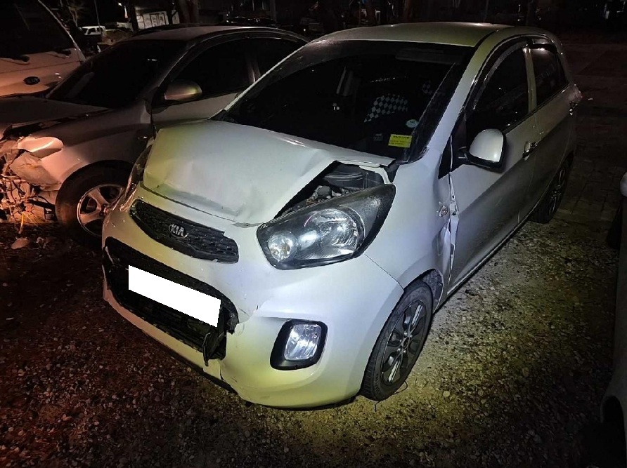 2016 The New Morning Luxury (038080) pre-producted