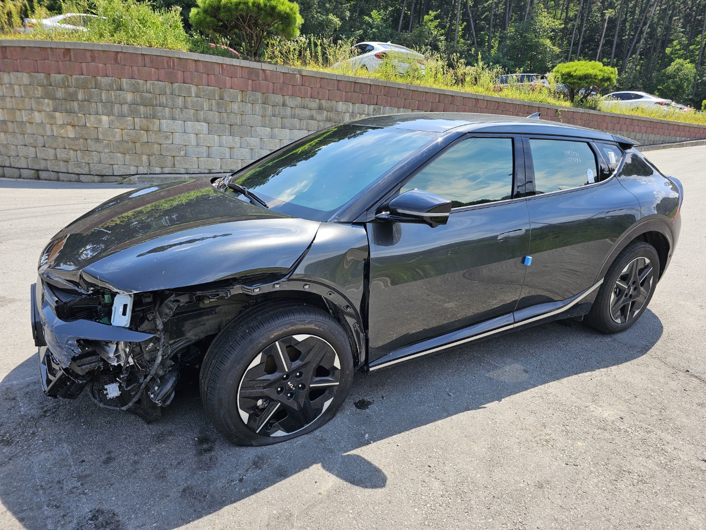 2025 The new EV6 long range 4WD Earth (S/N: 225227)