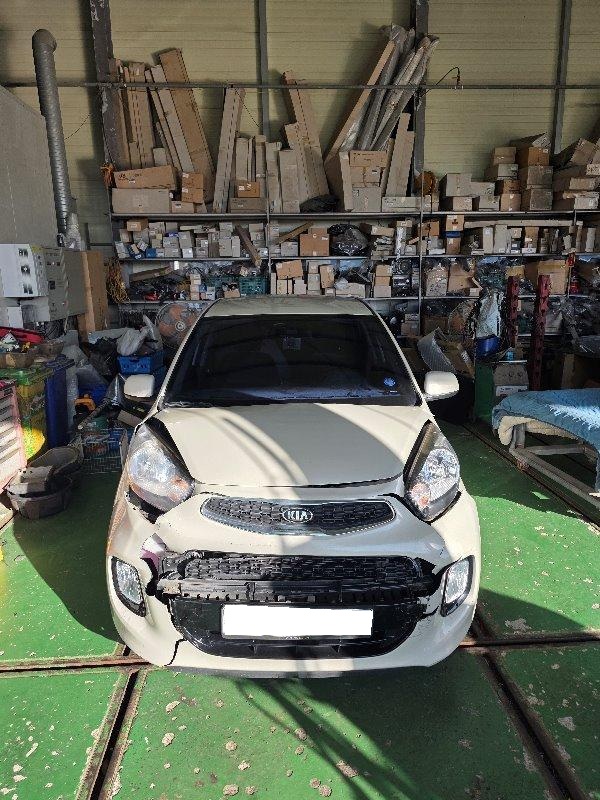 2016 The New Morning Luxury (429161) pre-producted