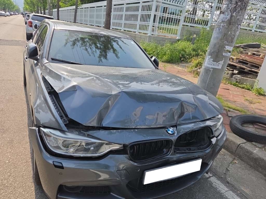 2014 BMW 3 Series (F30) 320d (894659) pre-producted