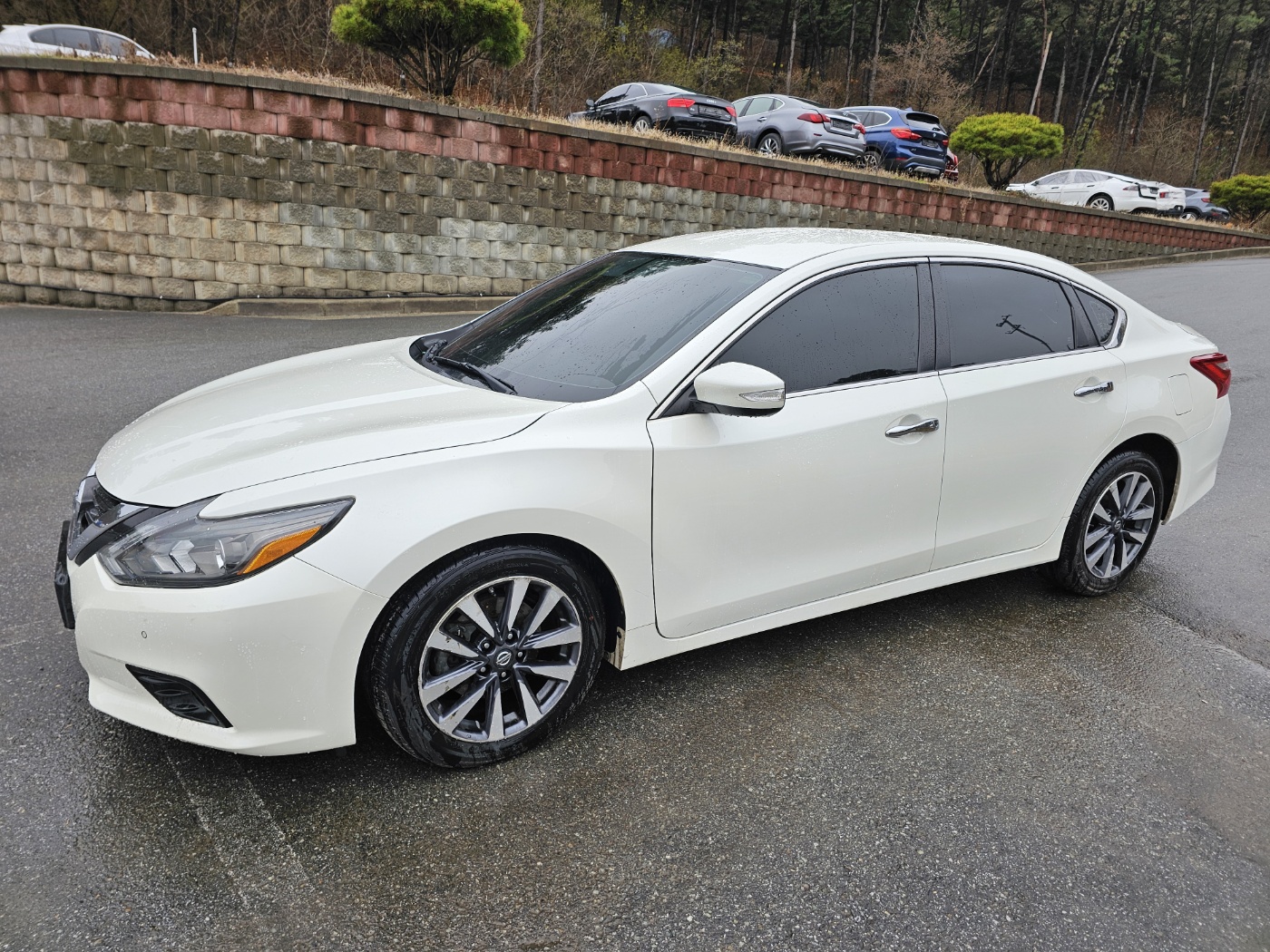 2017 Nissan Altima 2.5 (S/N: 257950)