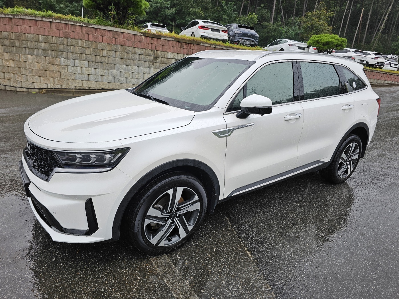 2023 Sorento 4th gen (MQ4) hybrid HEV 1.6 2WD Noblesse (S/N: 227002)