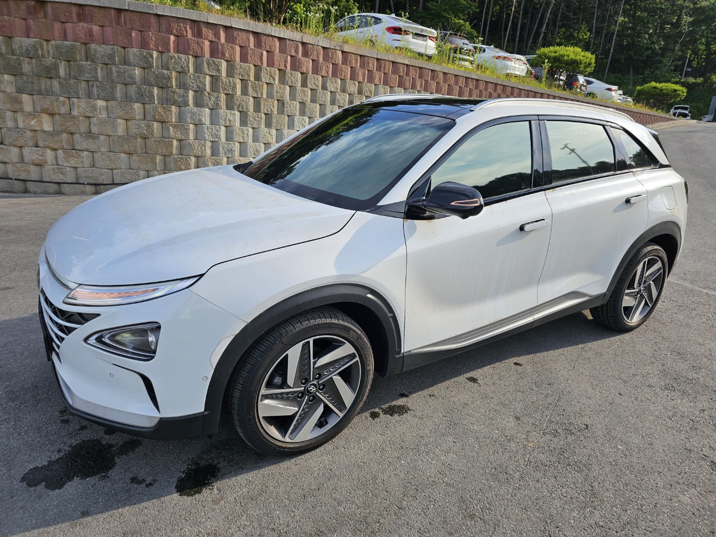 2024 Nexo Premium (S/N: 038853)