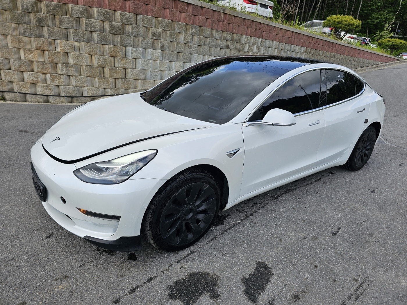2020 Model 3 Standard Range Plus (S/N: 733602)