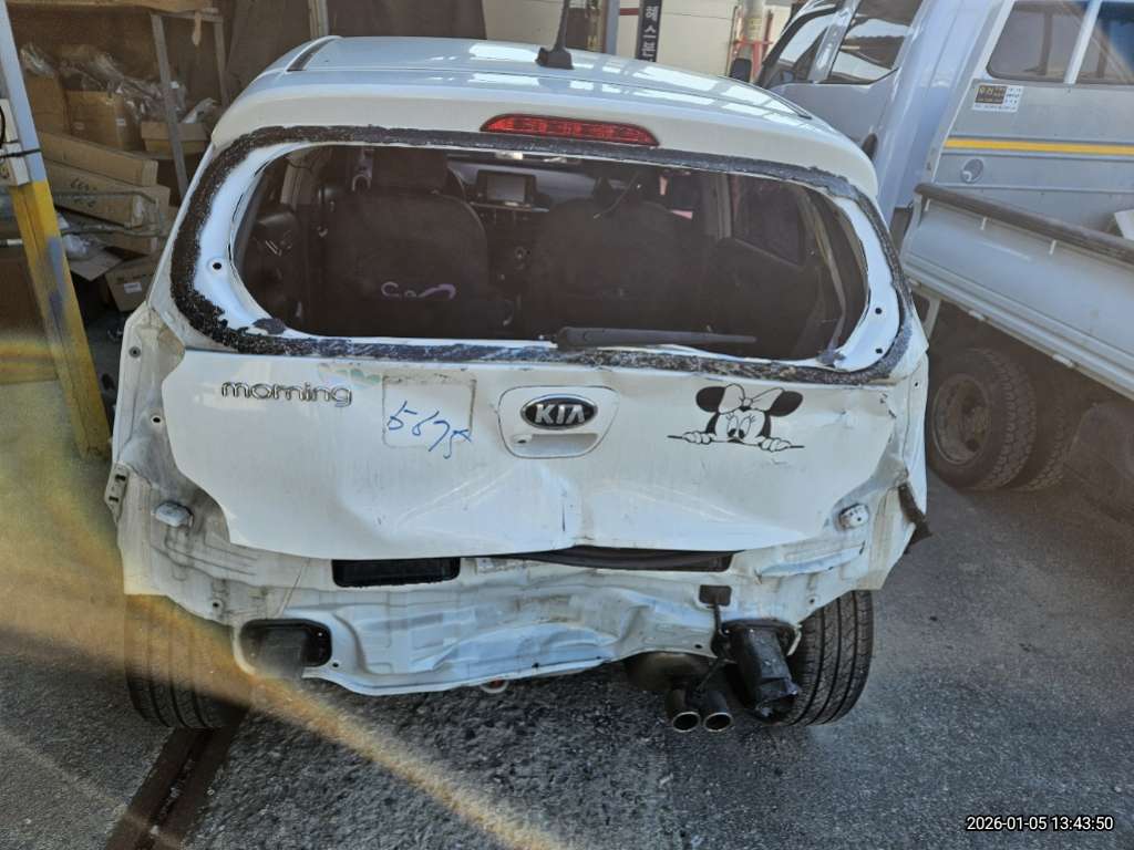 [SOLDOUT]2019 All New Morning (JA) Prestige (489743) pre-producted