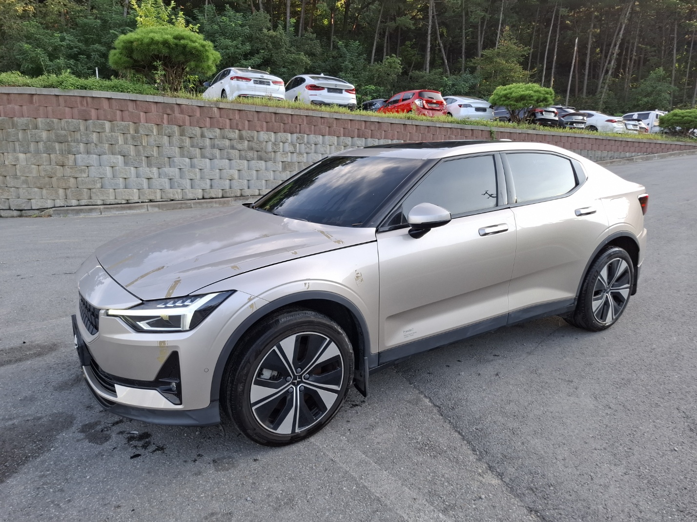 2023 Polestar 2 Long Range Single Motor (S/N: 141895)
