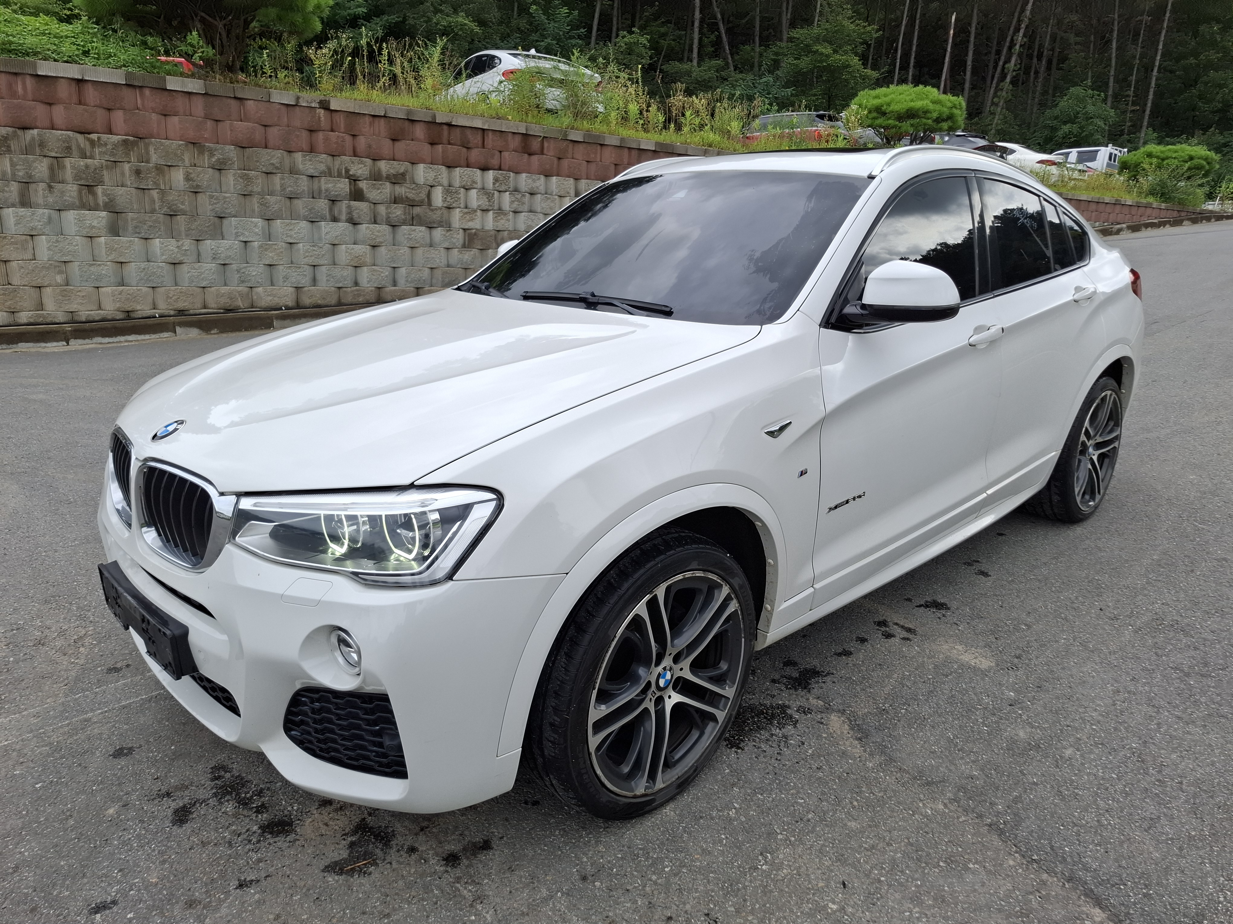 2017 BMW X4 (F26) xDrive 20d M Sport (S/N: W12871)