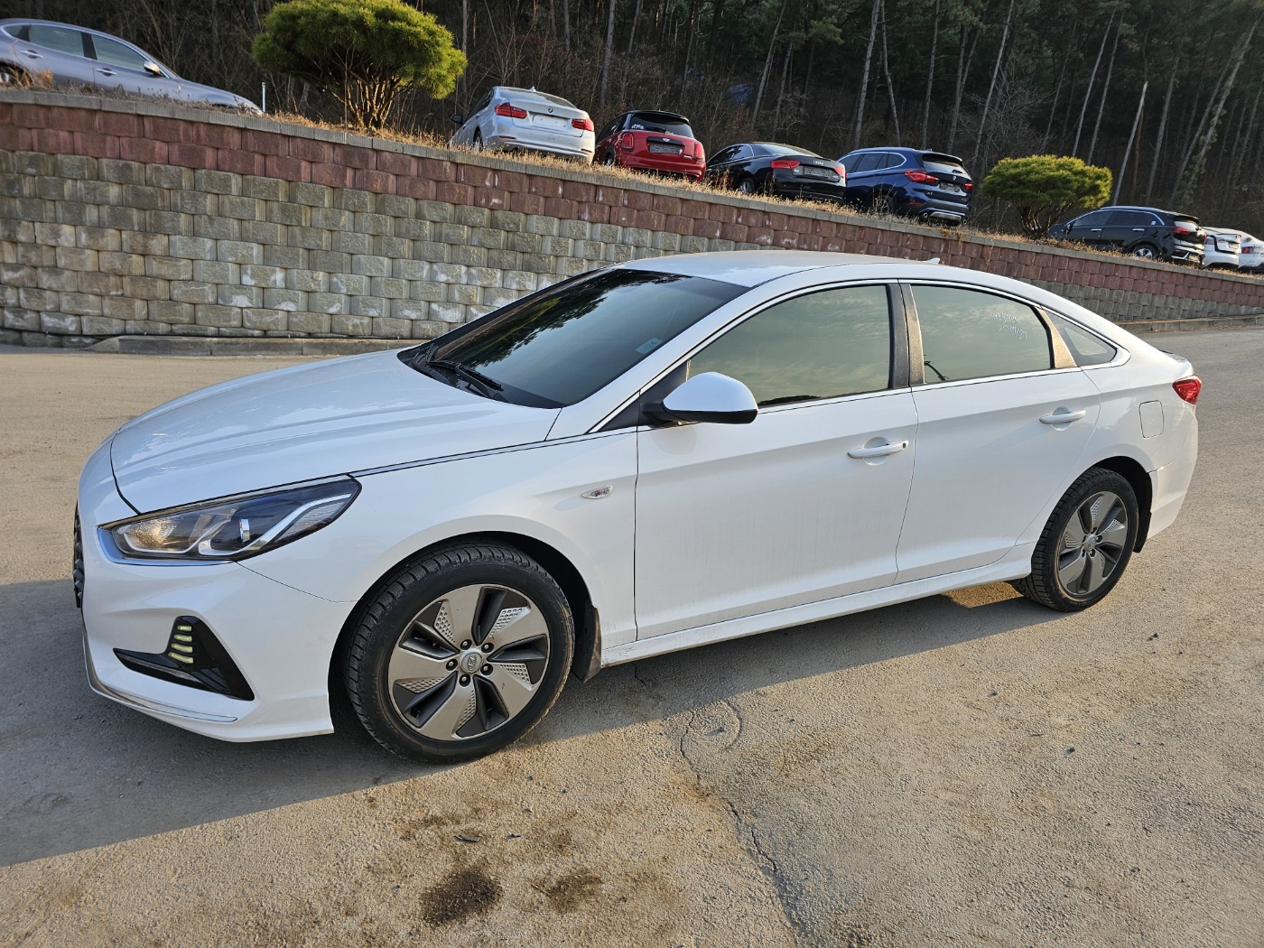 2018 Sonata New Rise LPI Style (S/N: 433589)