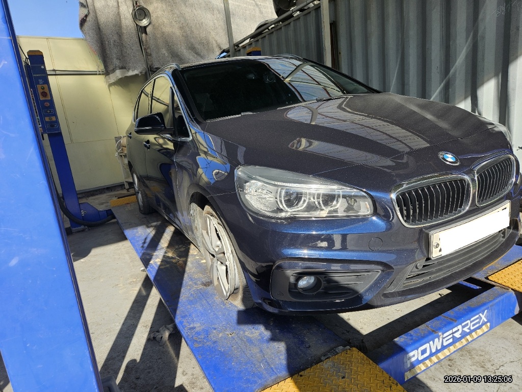 2016 BMW 2 Series Active Tourer (F45) Joy (703346) pre-producted