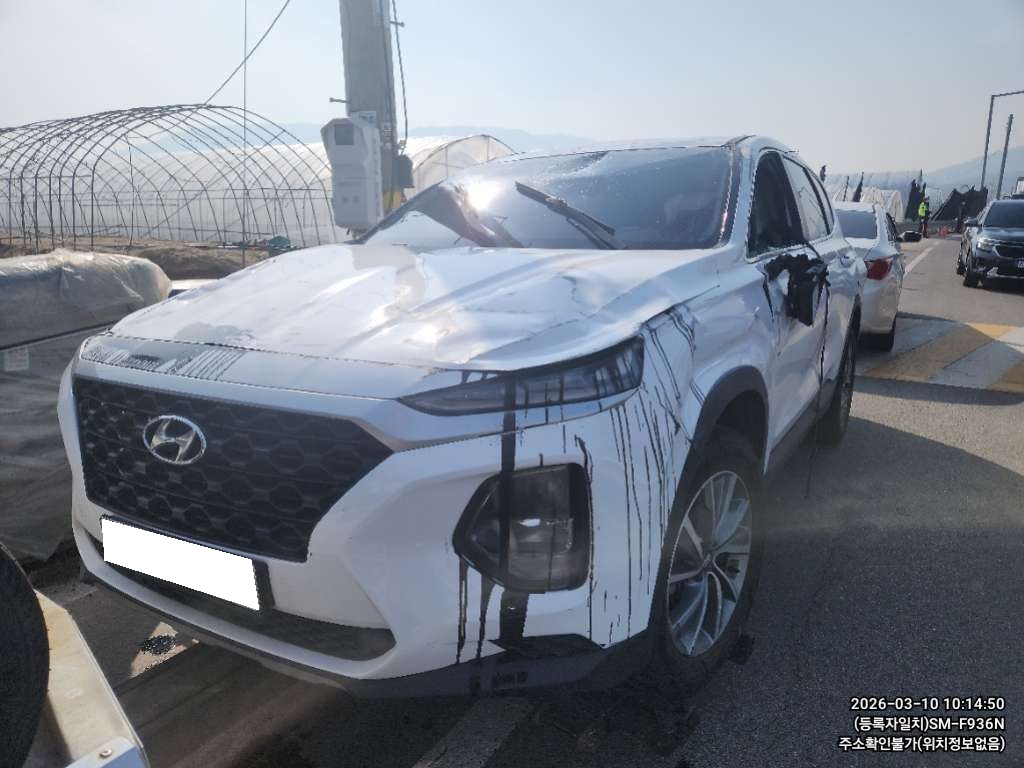 2019 Santa Fe TM Diesel 2.0 2WD Premium (157775) pre-producted