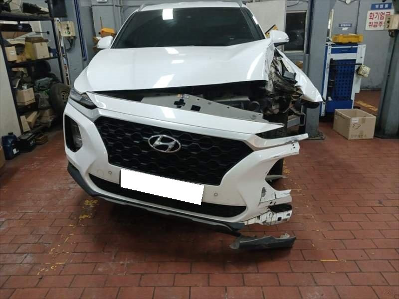2019 Santa Fe TM Diesel 2.0 4WD Premium (081401) pre-producted