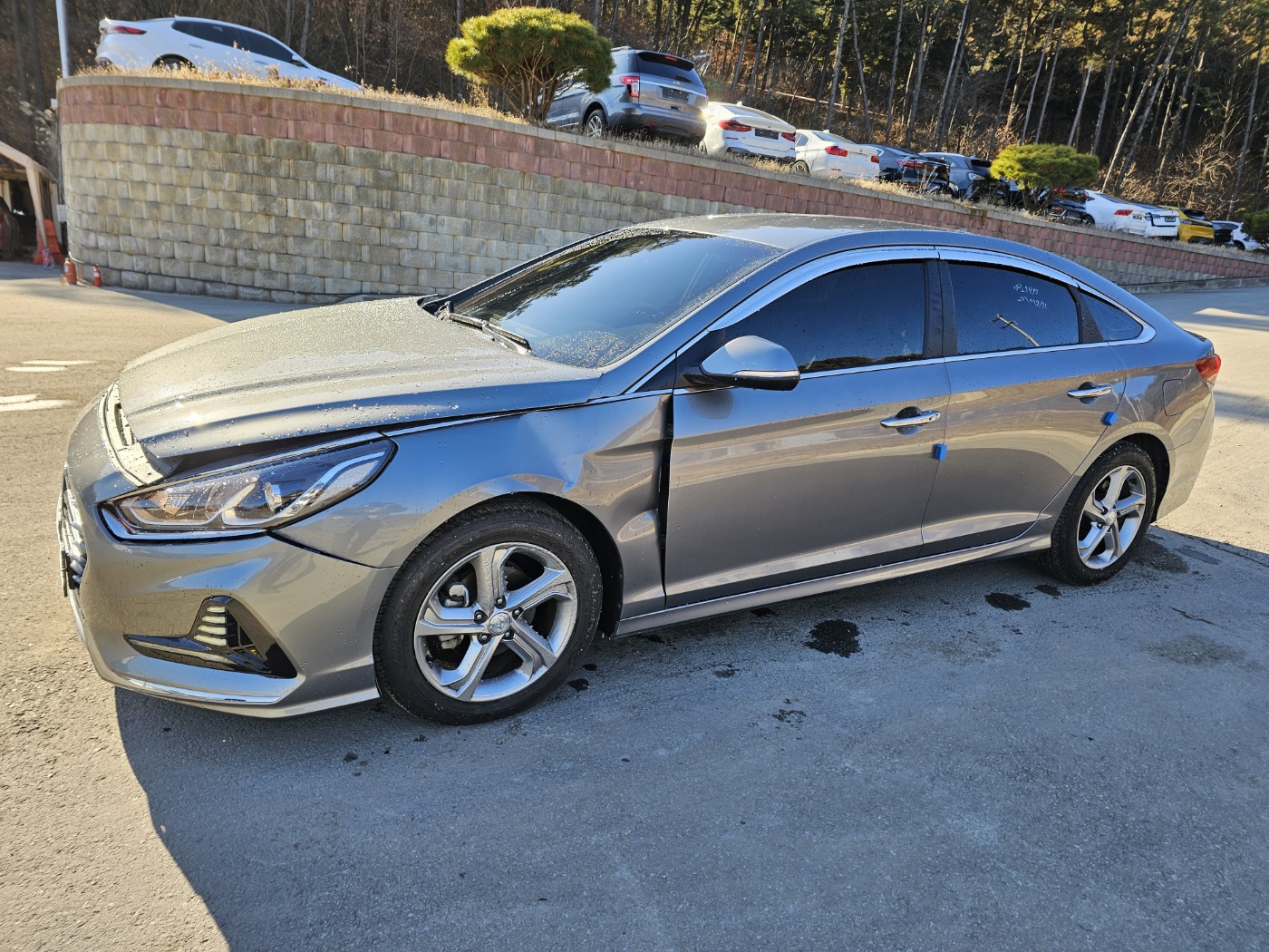 2018 Sonata New Rise 2.0 Smart  (S/N: 352697)