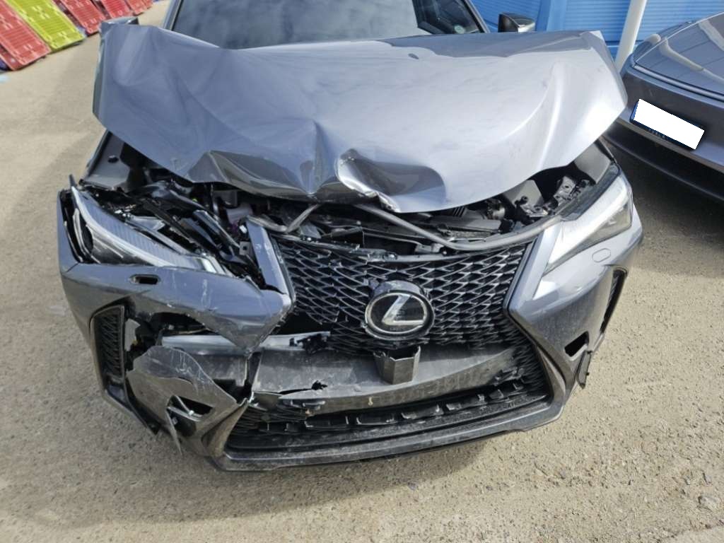 2025 Lexus UX 300h 2.0 (022161) pre-producted