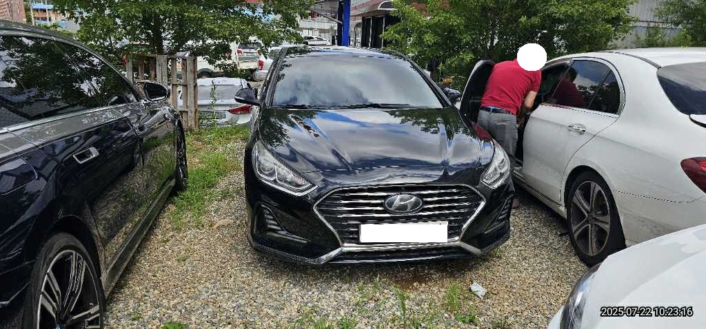 2018 Sonata New Rise LPI Style (422388) pre-producted