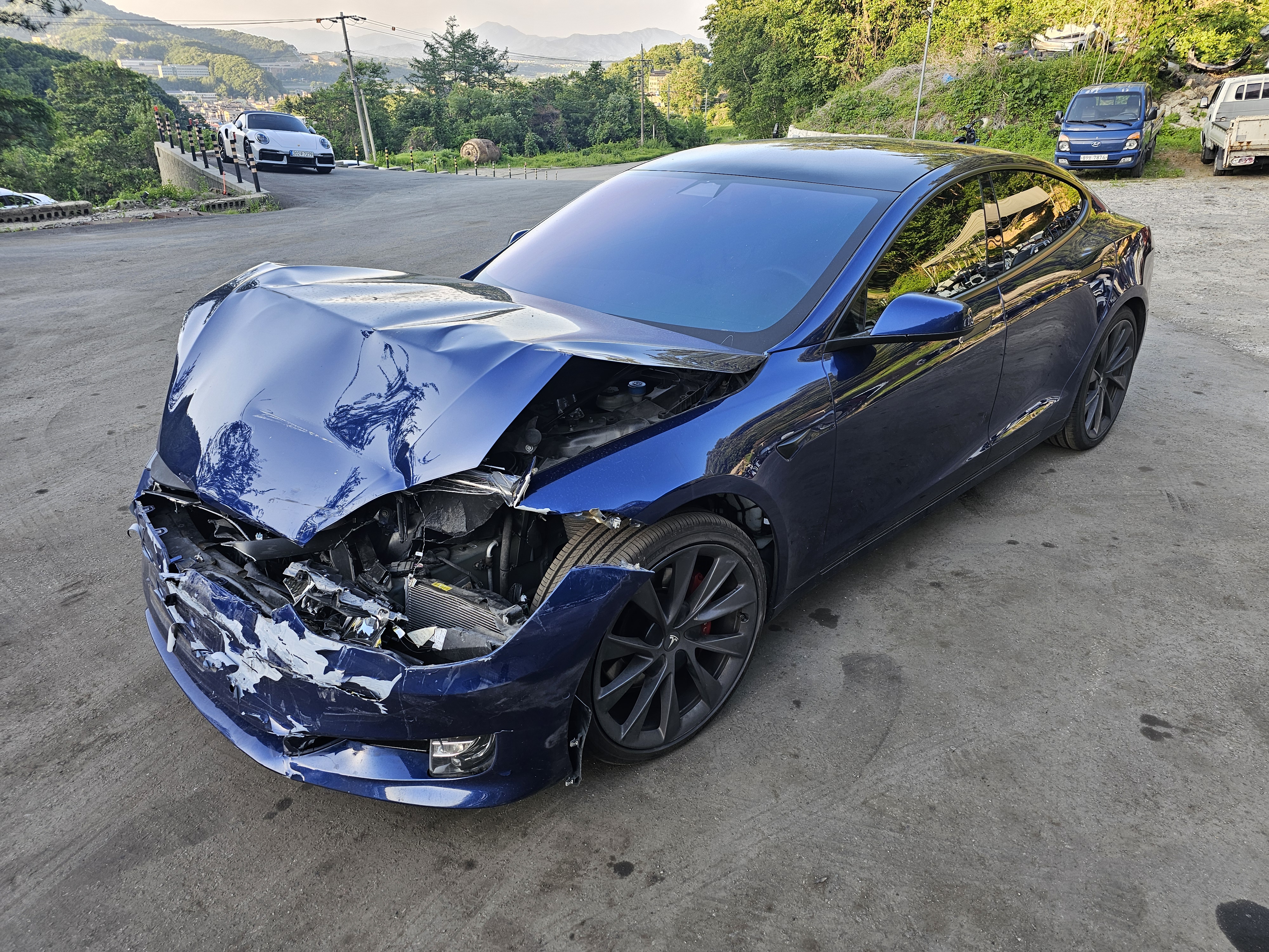 2019 Tesla Model S 100D (S/N: 307866)