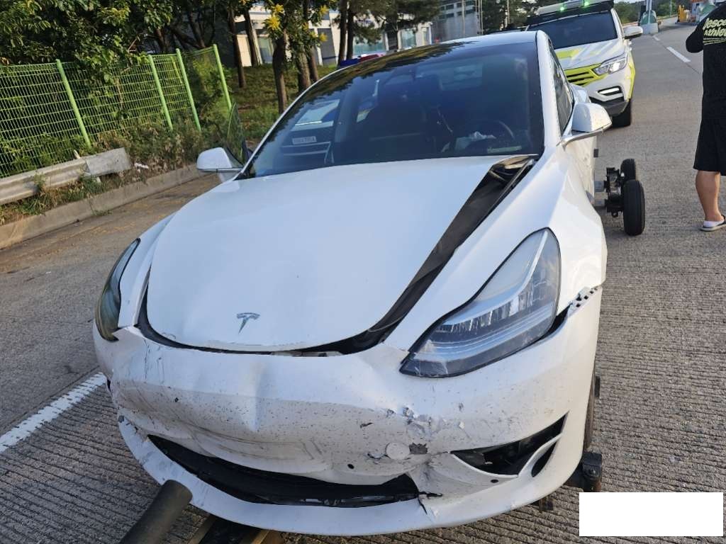 2020 Tesla Model 3 Long Range (733521) pre-producted