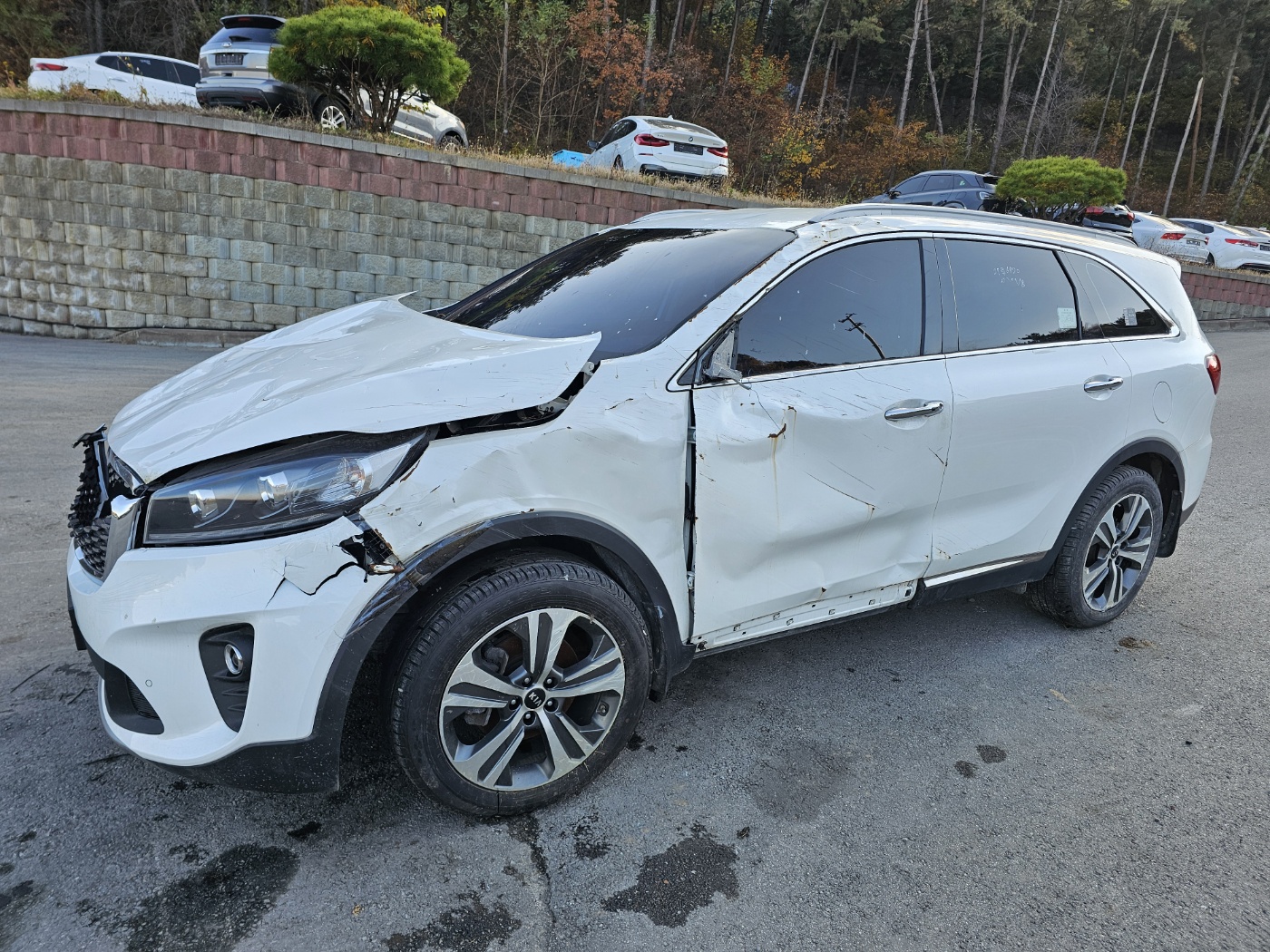 2018 The New Sorento Diesel 2.2 4WD Noblesse (S/N: 433616)