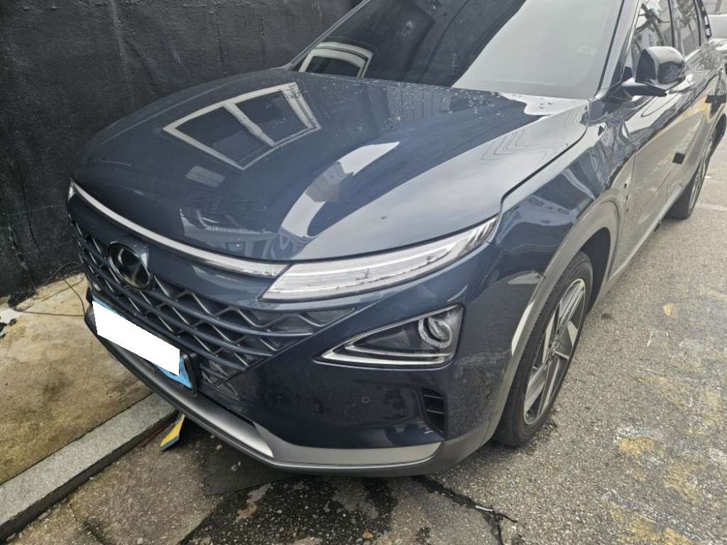 2020 NEXO PREMIUM (005582) pre-producted