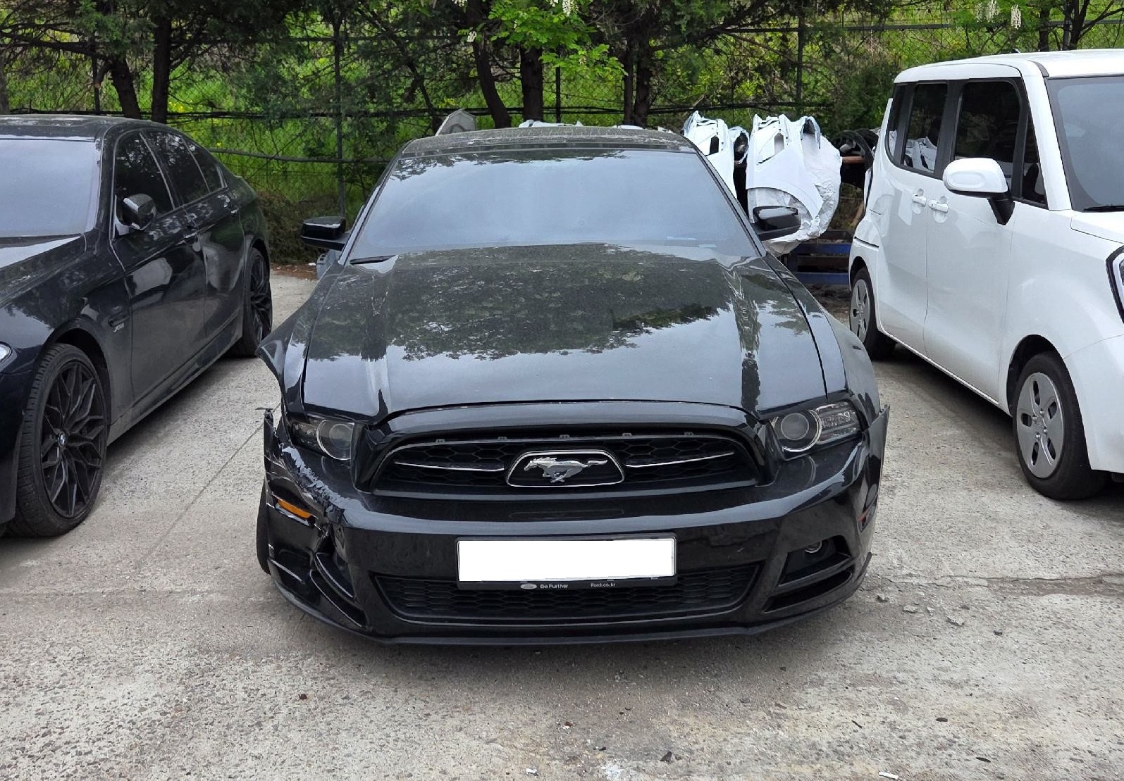 2014 Ford Mustang Coupe (312741) pre-producted