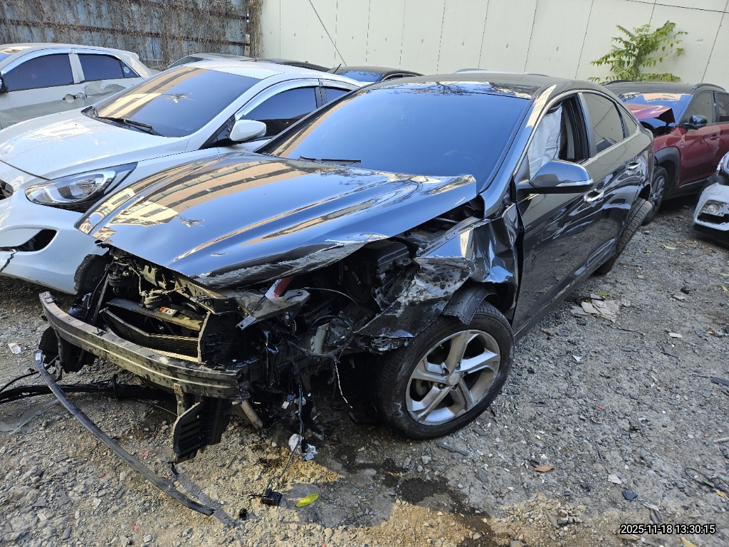 2018 Sonata New Rise LPI Style (369651) pre-producted