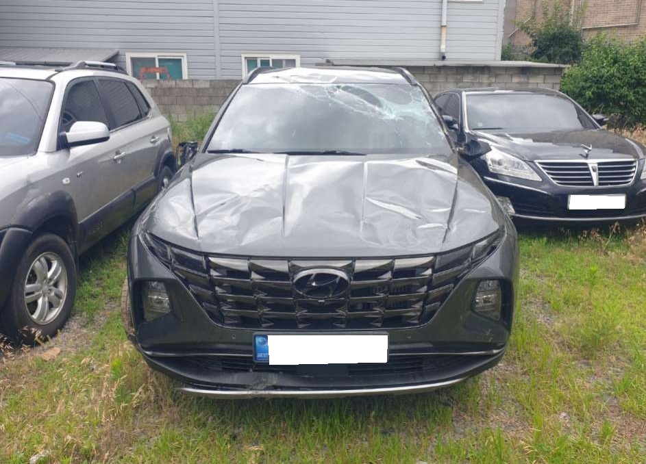2021 Tucson (NX4) Gasoline 1.6 Turbo 4WD (070043) pre-producted