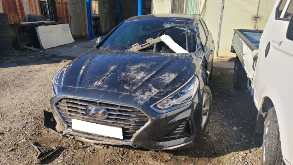 2018 Sonata New Rise 2.0 Modern (441080) pre-producted