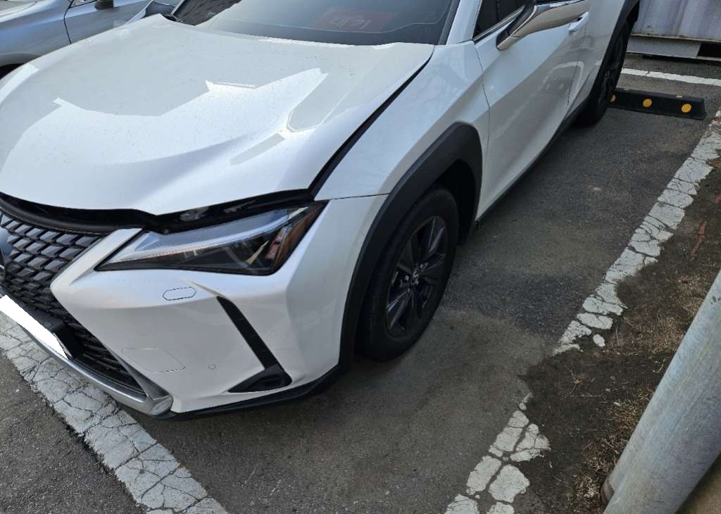 2025 Lexus UX 300h 2.0 (015434) pre-producted