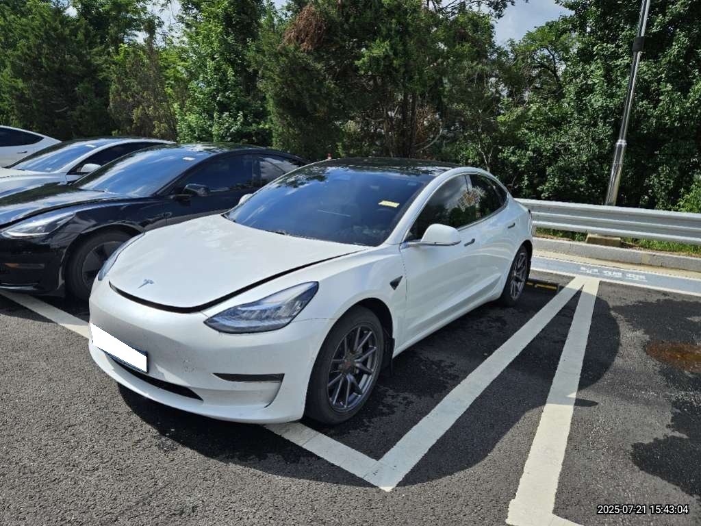 2020 Tesla Model 3 Long Range (809042) pre-producted