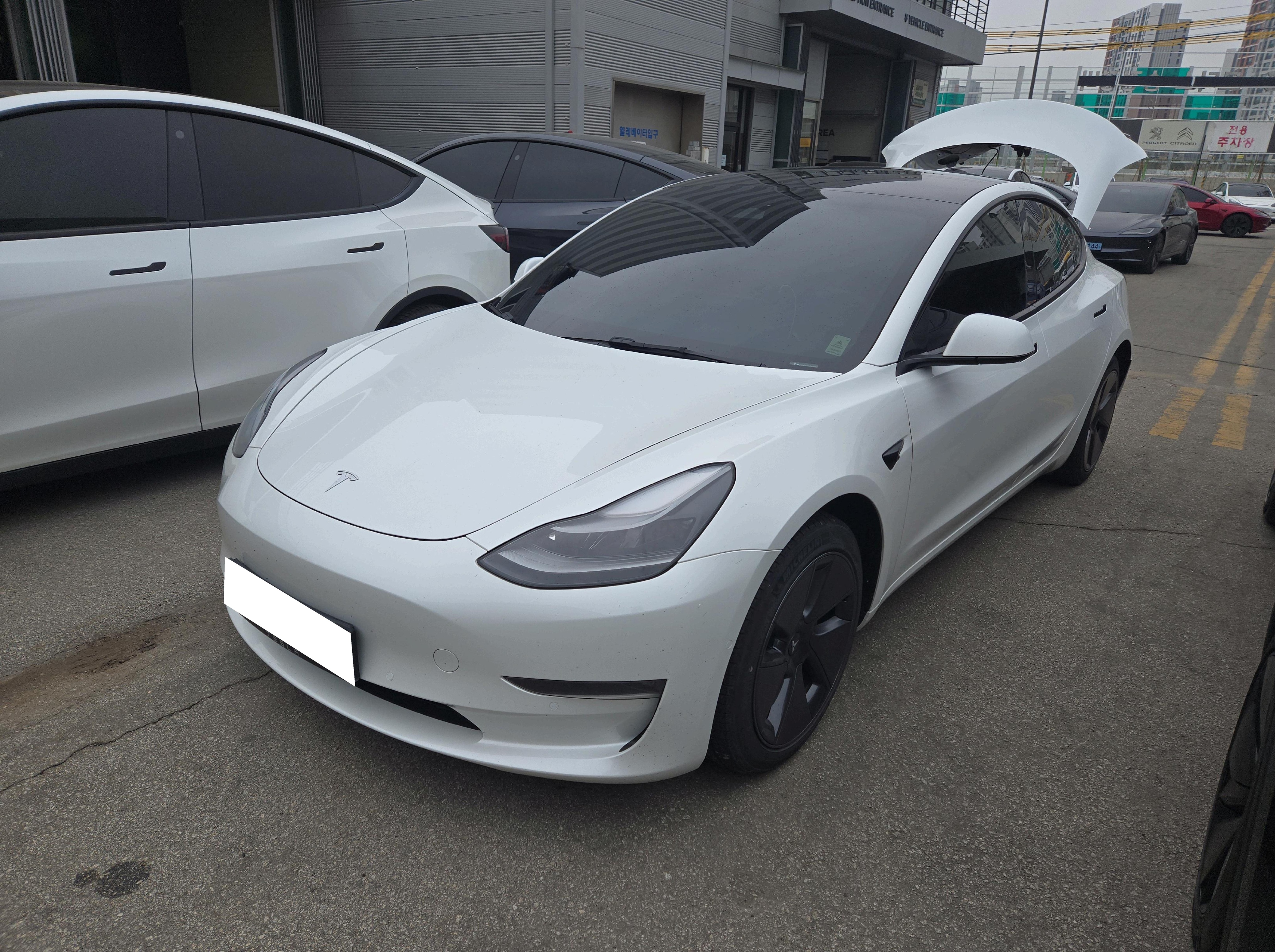 [Reserved]2022 Tesla Model 3 Long Range (309099) pre-producted