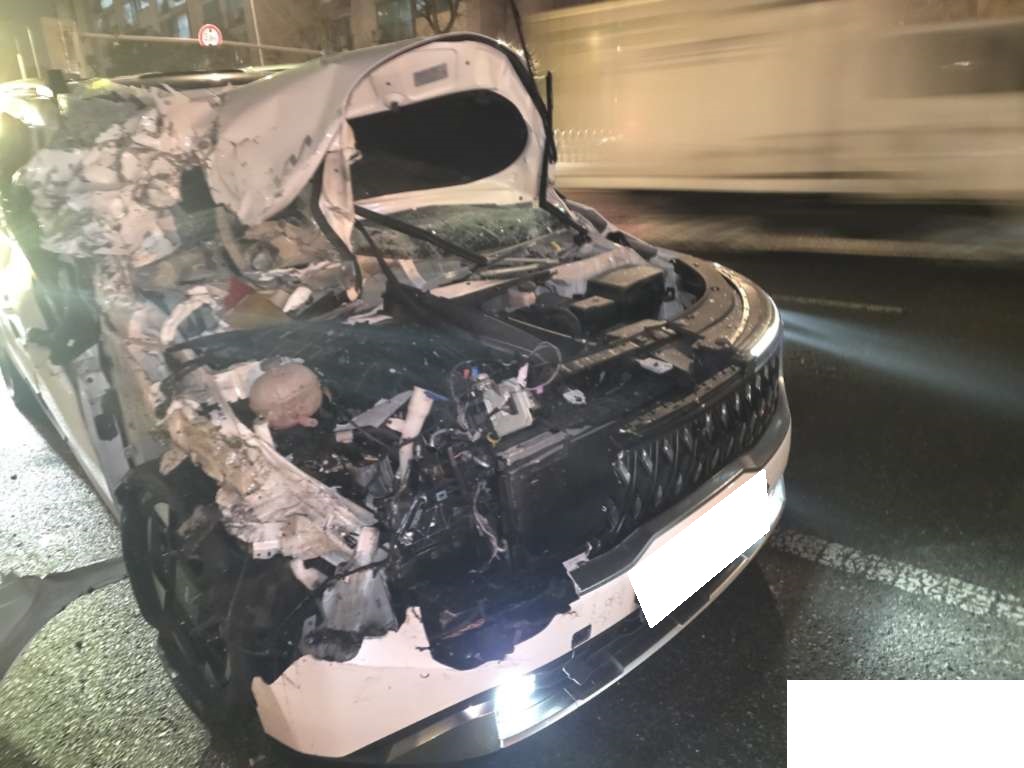 [Auction] 2024 The New Carnival 4th Gen Gasoline Signature(429008) pre-producted