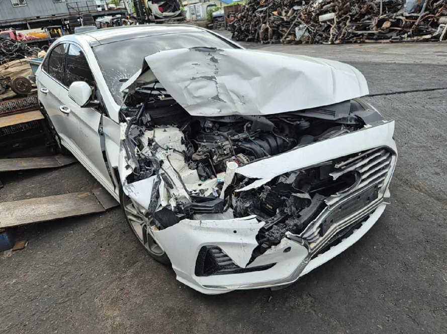 2019 Sonata New Rise 2.0 Modern (518041) pre-producted