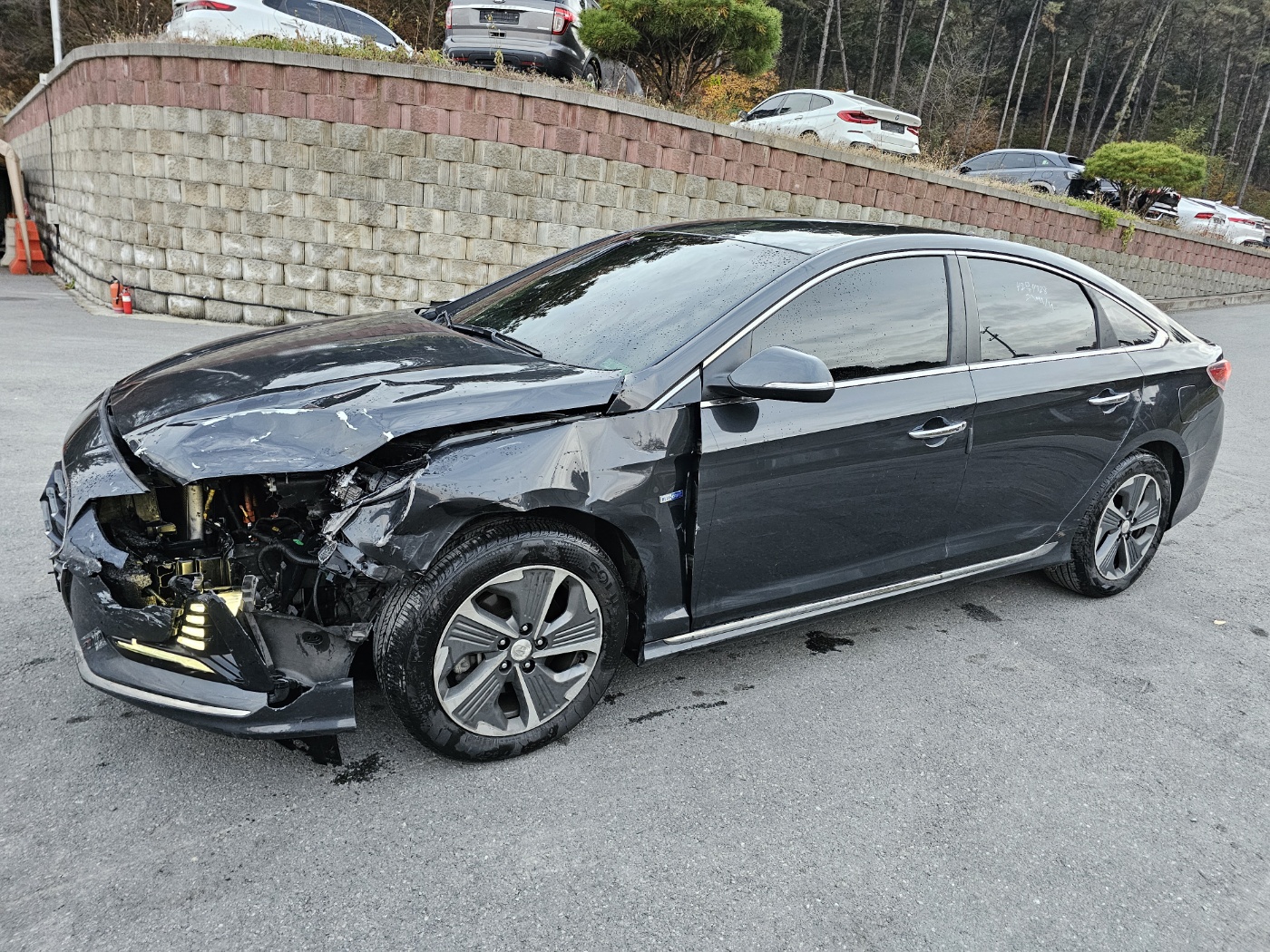 2018 Sonata New Rise Hybrid Premium (S/N: 074940)