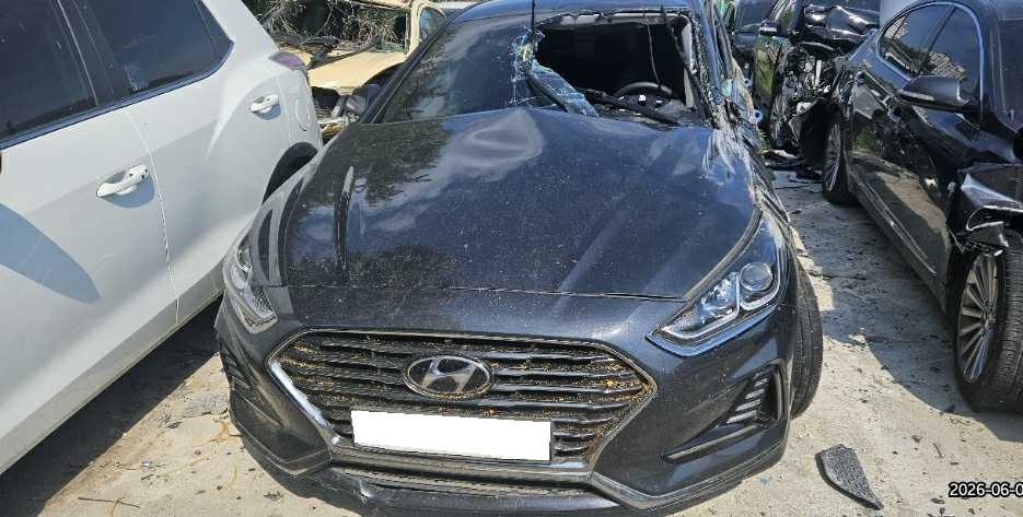 2019 Sonata New Rise LPI (501634) pre-producted