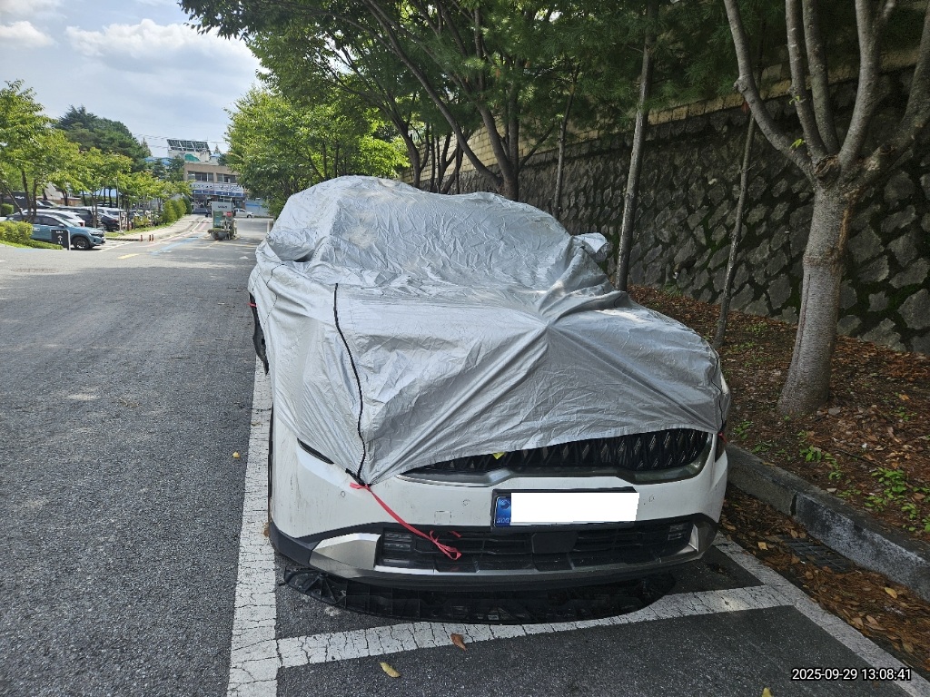 2024 The New Carnival Hybrid HEV Noblesse (012702) pre-producted