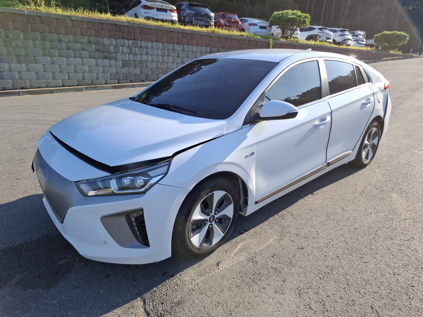 2019 Ioniq Electric Q (S/N: 045683)