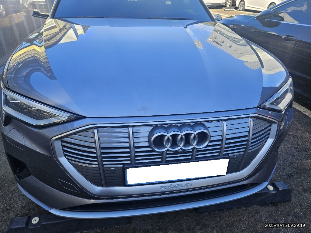 2020 Audi e-tron 55 quattro (038517) pre-producted